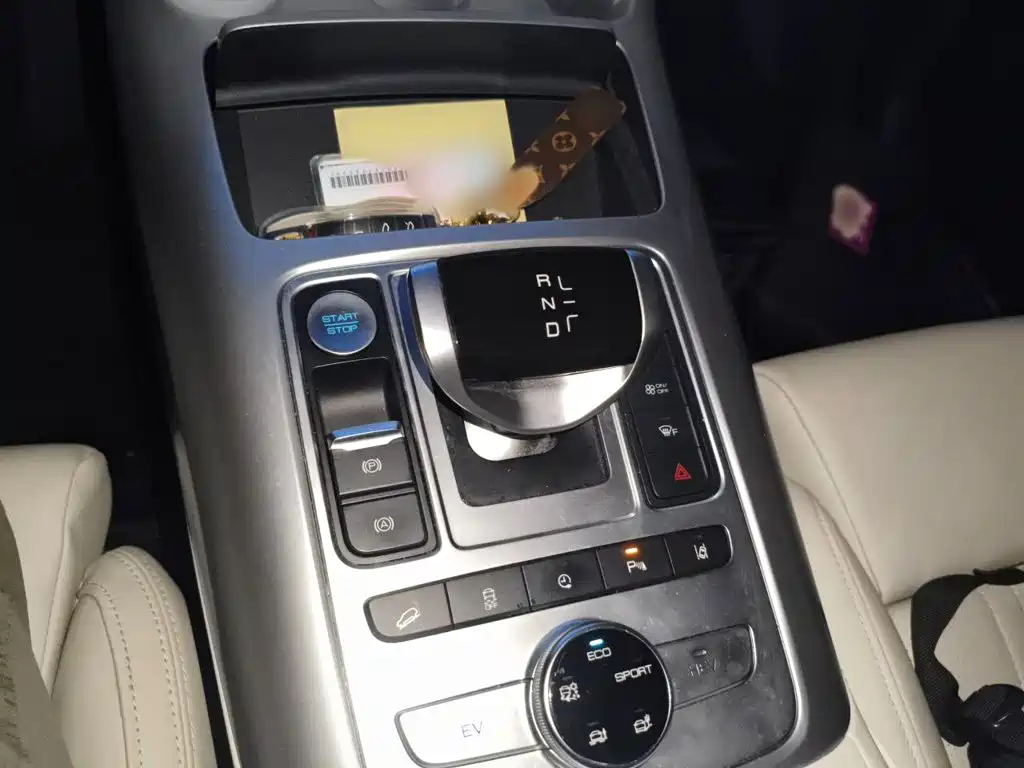 Denza X 2021 2020 Model PHEV Flagship Edition