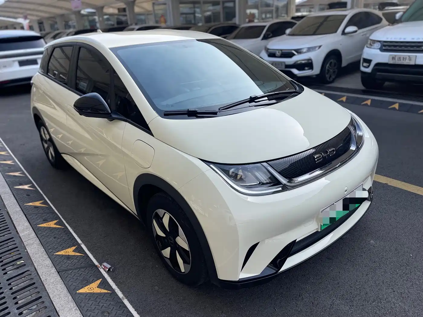 2026 BYD Dolphin
