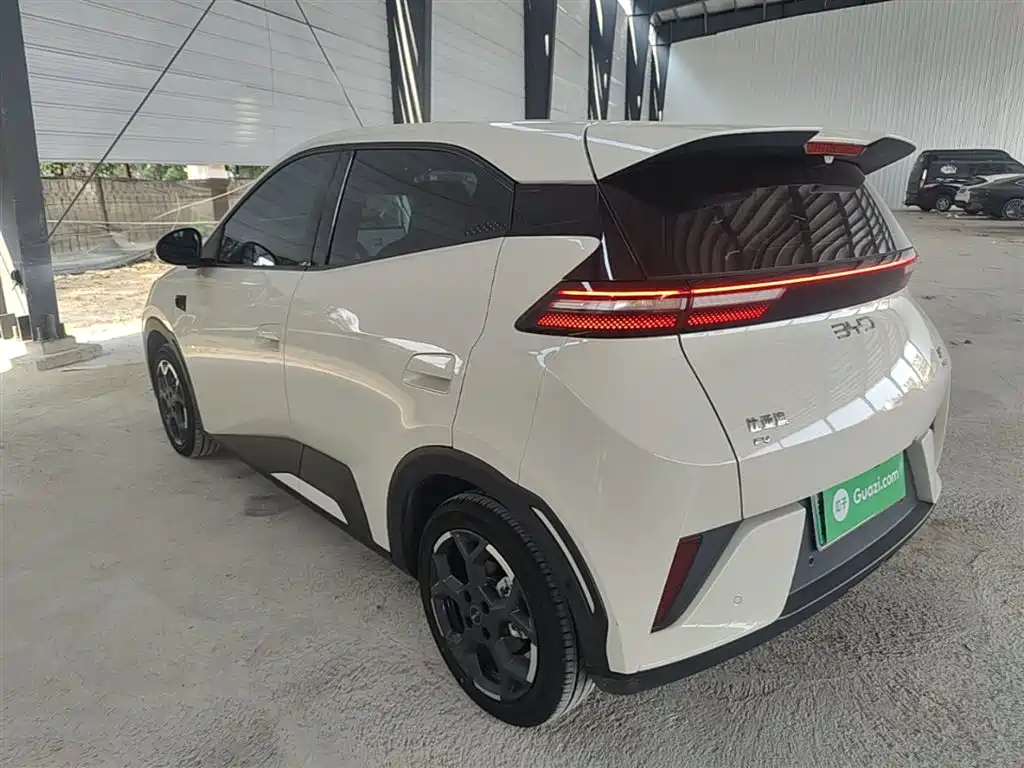 BYD Seagull 2025 Smart Drive Edition 305km Freedom Version фото 5
