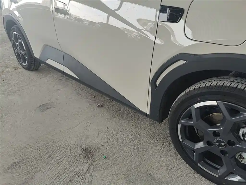 BYD Seagull 2025 Smart Drive Edition 305km Freedom Version фото 21