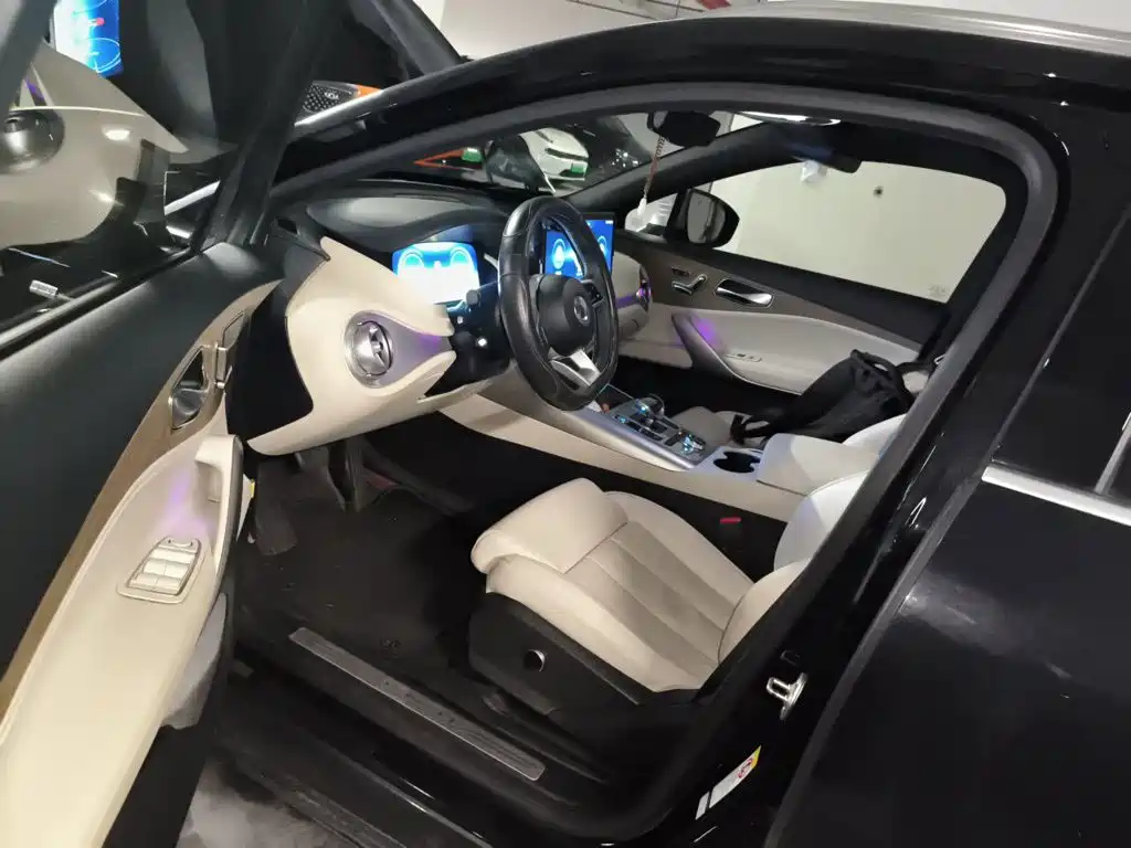 Denza X 2021 2020 Model PHEV Flagship Edition