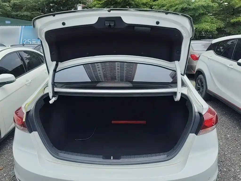 HYUNDAI LEAD