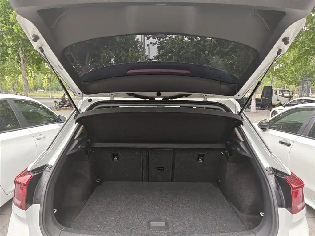 Volkswagen T-ROC 2020 230TSI DSG 2WD Progressive фото 19