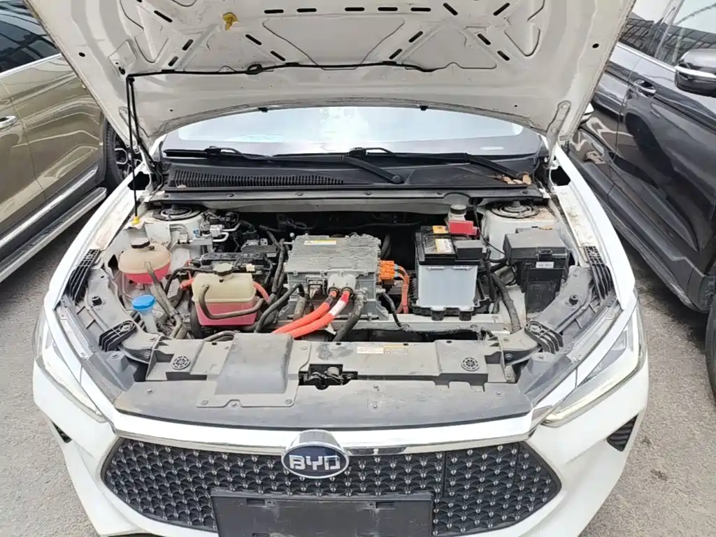BYD e2 2020 2019 Long Range Yao·Luxury Model