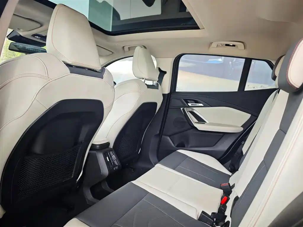 BMW X2 (Import) 2024 sDrive25i M Sport Package фото 13