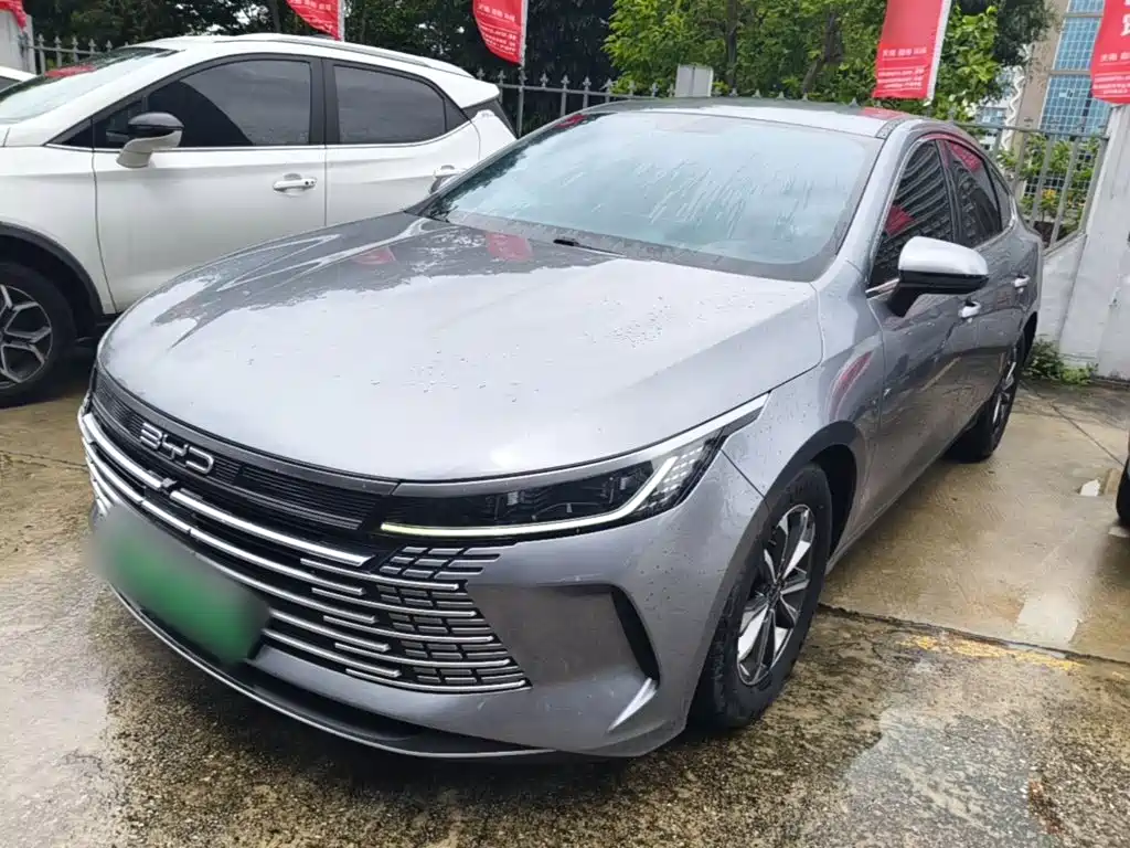 BYD Destroyer 05 2024 Glory Edition DM-i 55KM Luxury