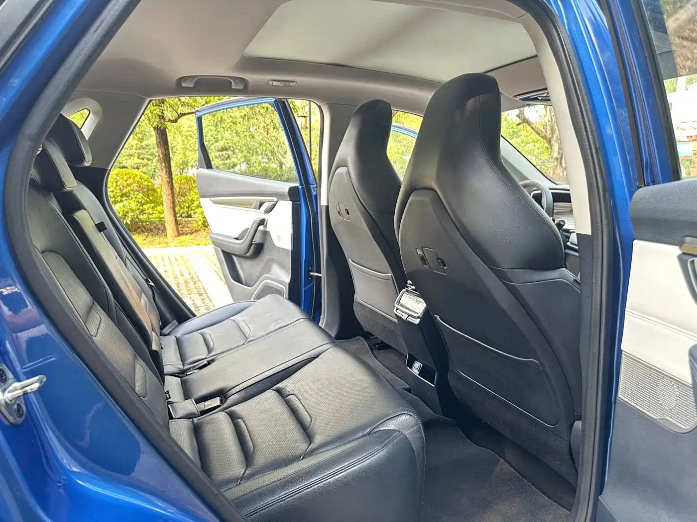 Weltmeister EX5 2019 2018 EX5 400 Extra Innovation Edition
