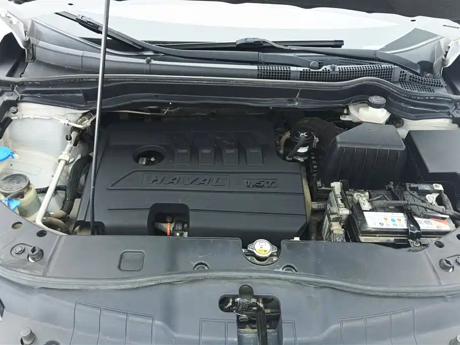 Haval H6 2018 Red Label Sport 1.5T Automatic 2WD Elite фото 10