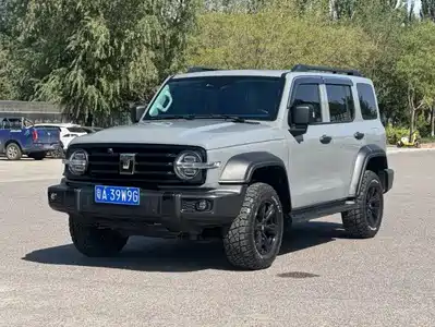 Tank 300