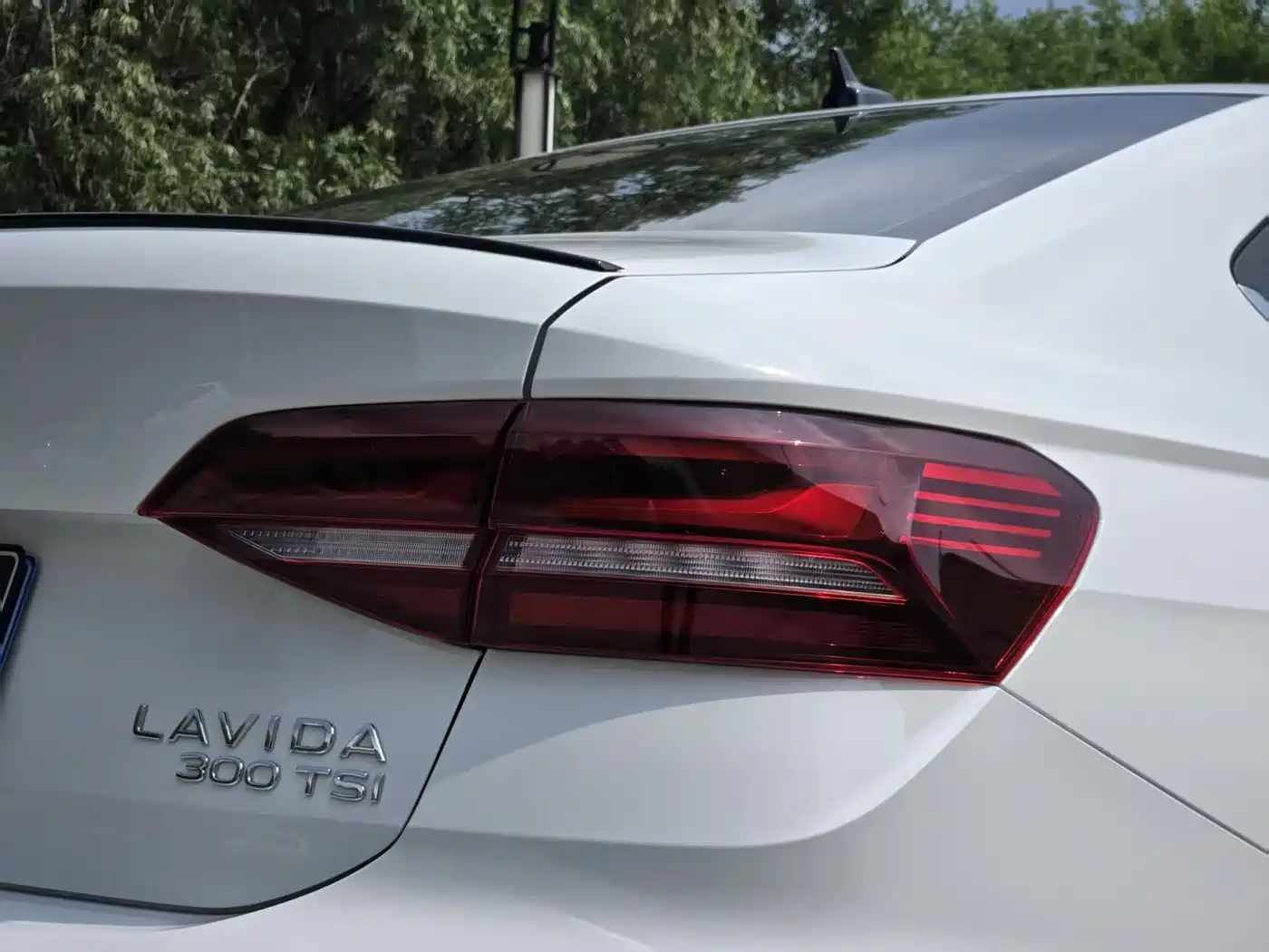 VOLKSWAGEN LAVIDA