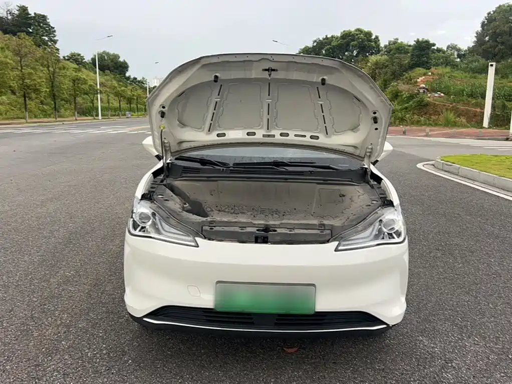 Nezha Auto Nezha V 2022 2022 Tide 300 Lite Ternary Lithium