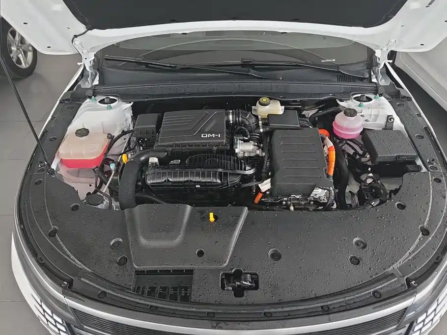 BYD Destroyer 05 2025 2024 Glory Edition DM-i 55KM Luxury