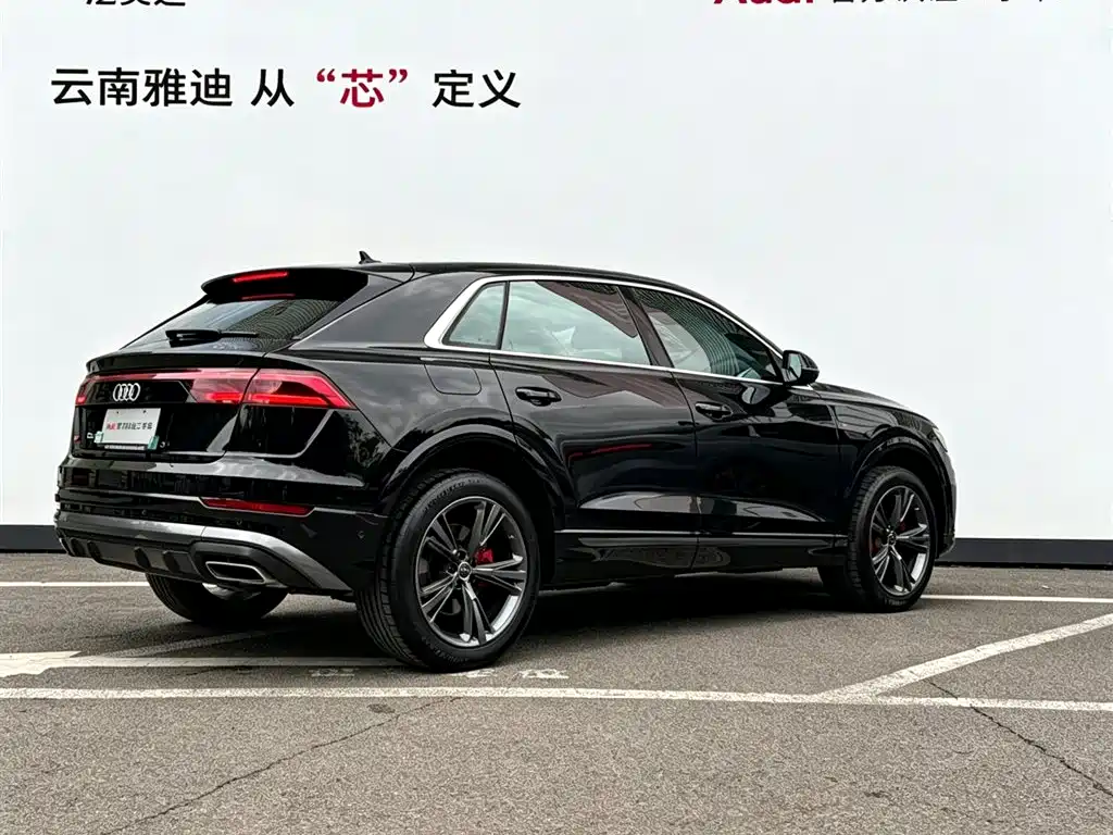 Audi Q8 2025 2024 55 TFSI Luxury Sport