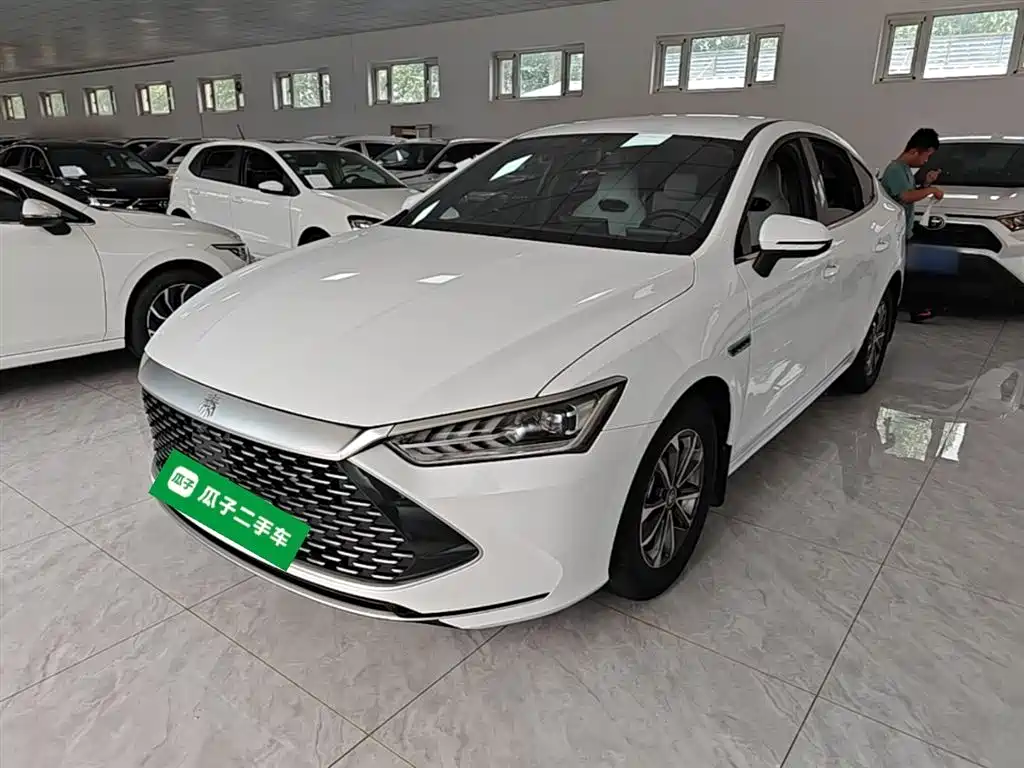 BYD Qin PLUS 2023 Champion Edition DM-i 55KM Leading