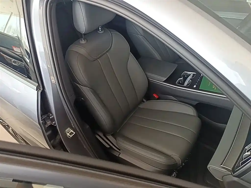 BYD SONGJIANG NEW ENERGY