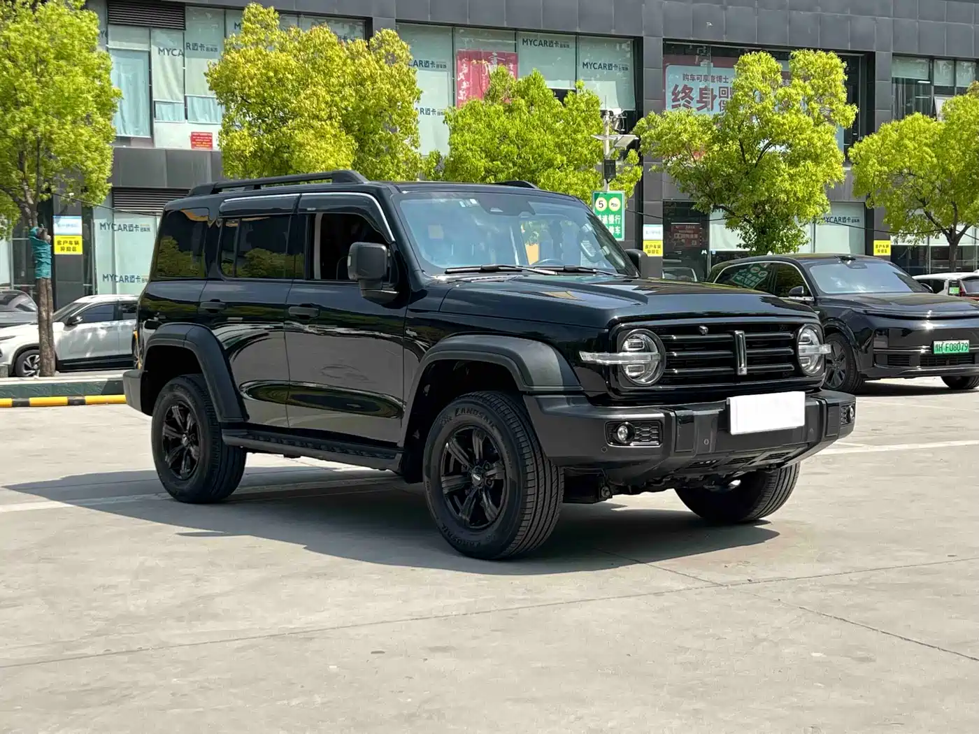 Tank 300 2021 Off-road Edition 2.0T Challenger фото 3