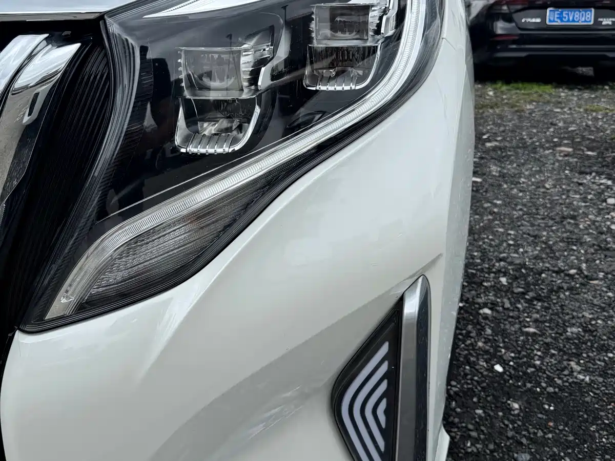 GAC Trumpchi Trumpchi M8 2020 Pilot 390T Premium Edition фото 13
