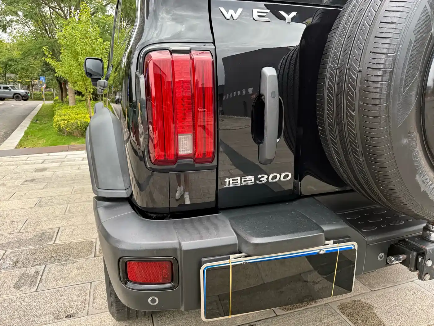 Tank 300 2021 2021 Off-road Version 2.0T Conqueror