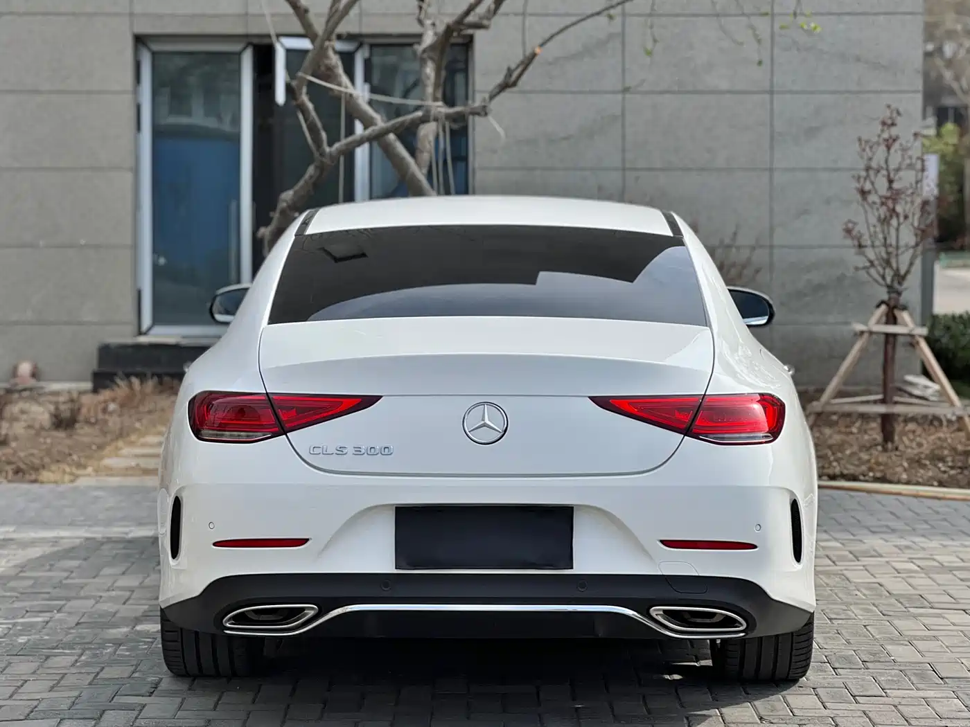 Mercedes-Benz CLS 2018 CLS 300 Luxury фото 18