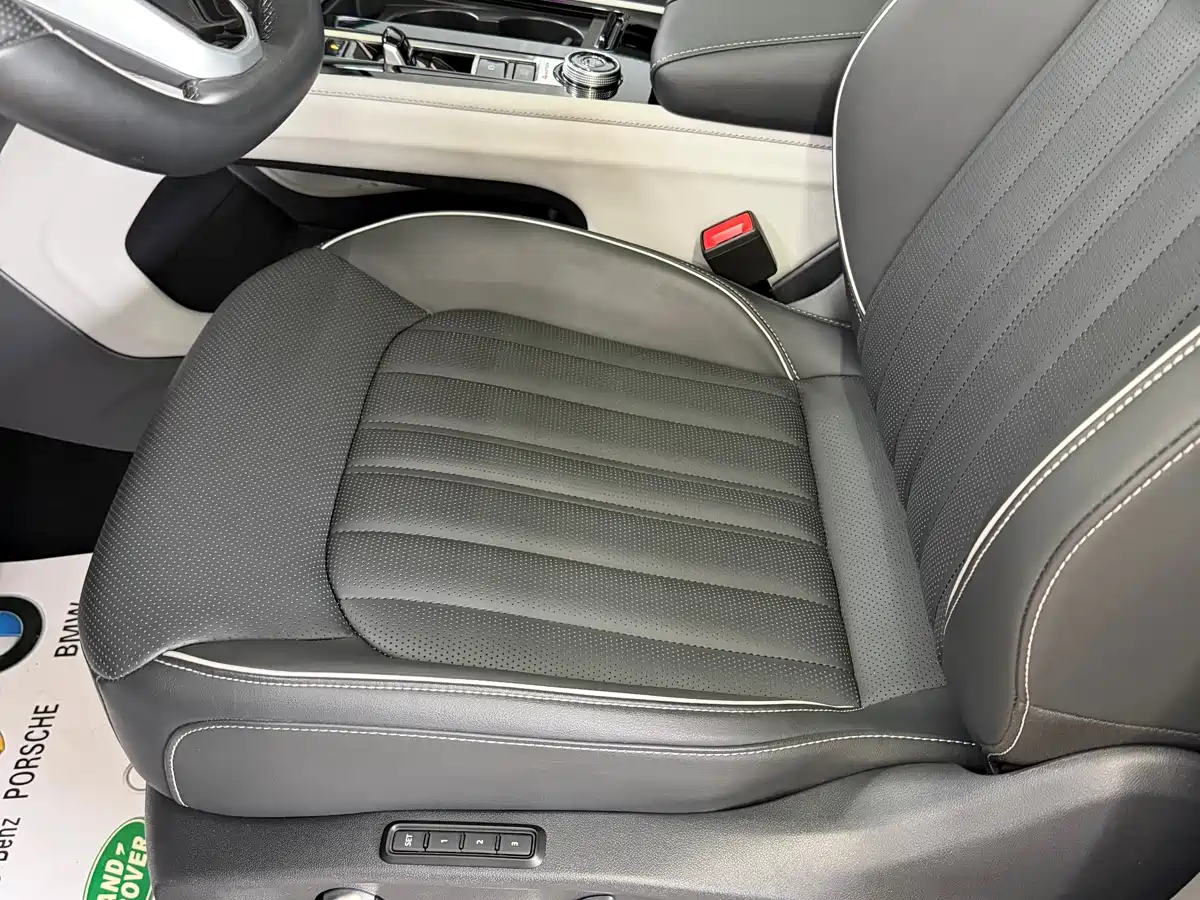 Volkswagen Teramont 2021 380TSI 4WD Premium Luxury Edition фото 7