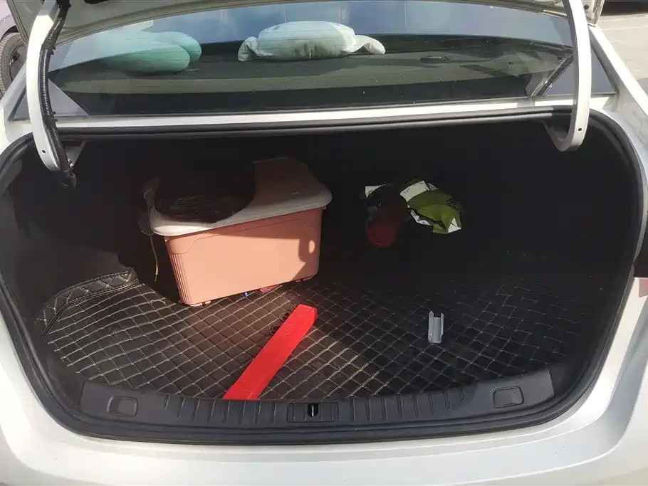 BUICK WEILANG