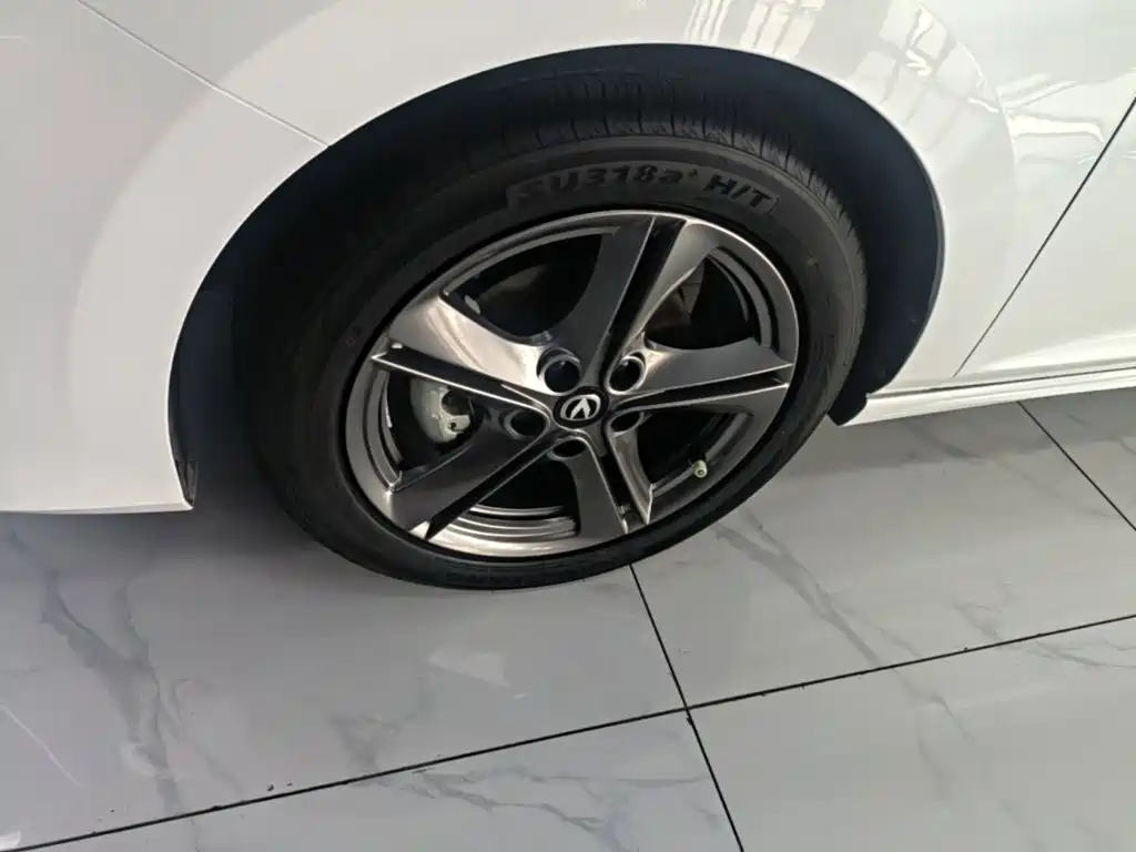 Фото 23 - Changan Ruicheng PLUS