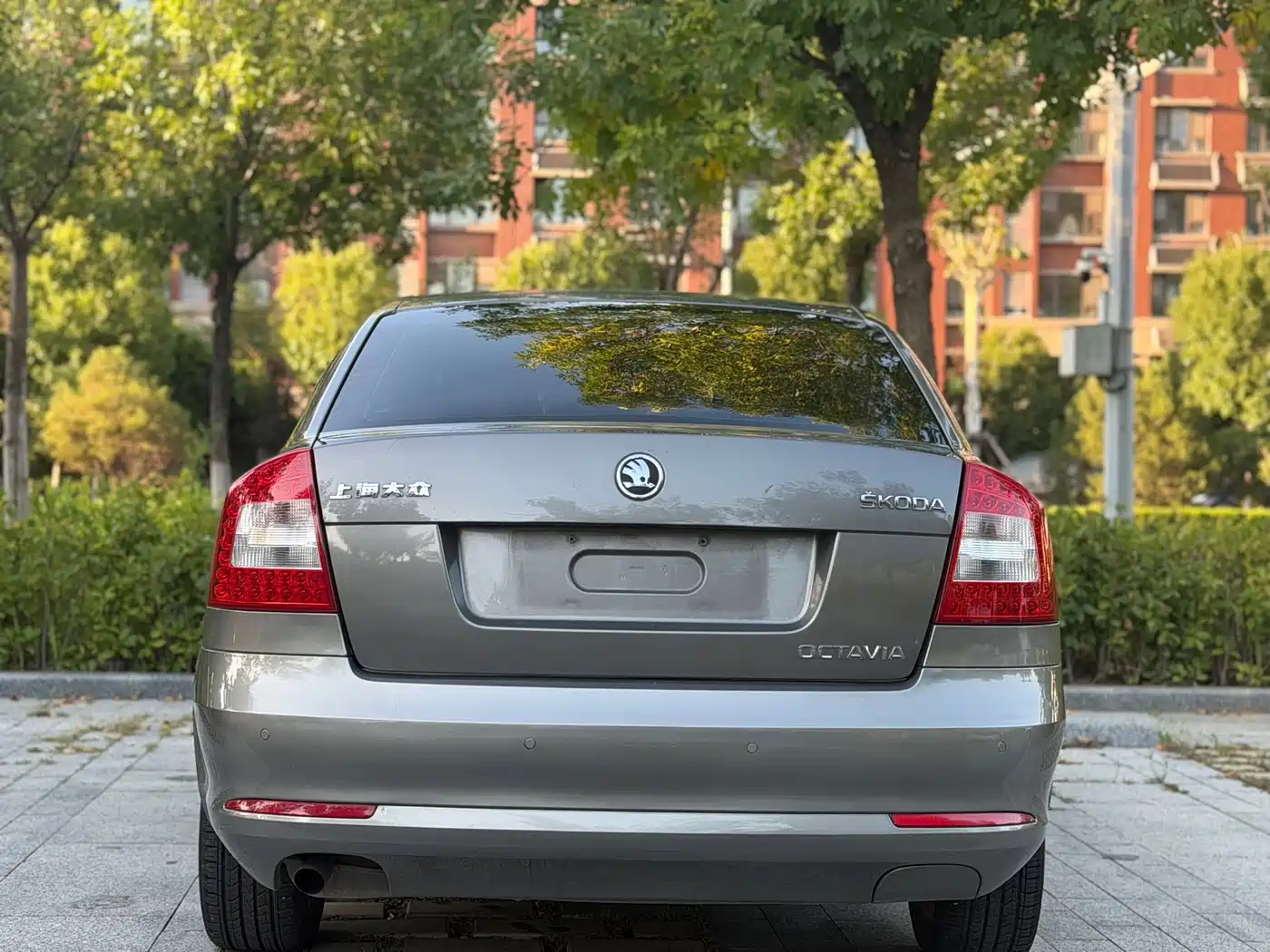 Фото 5 - Škoda Octavia