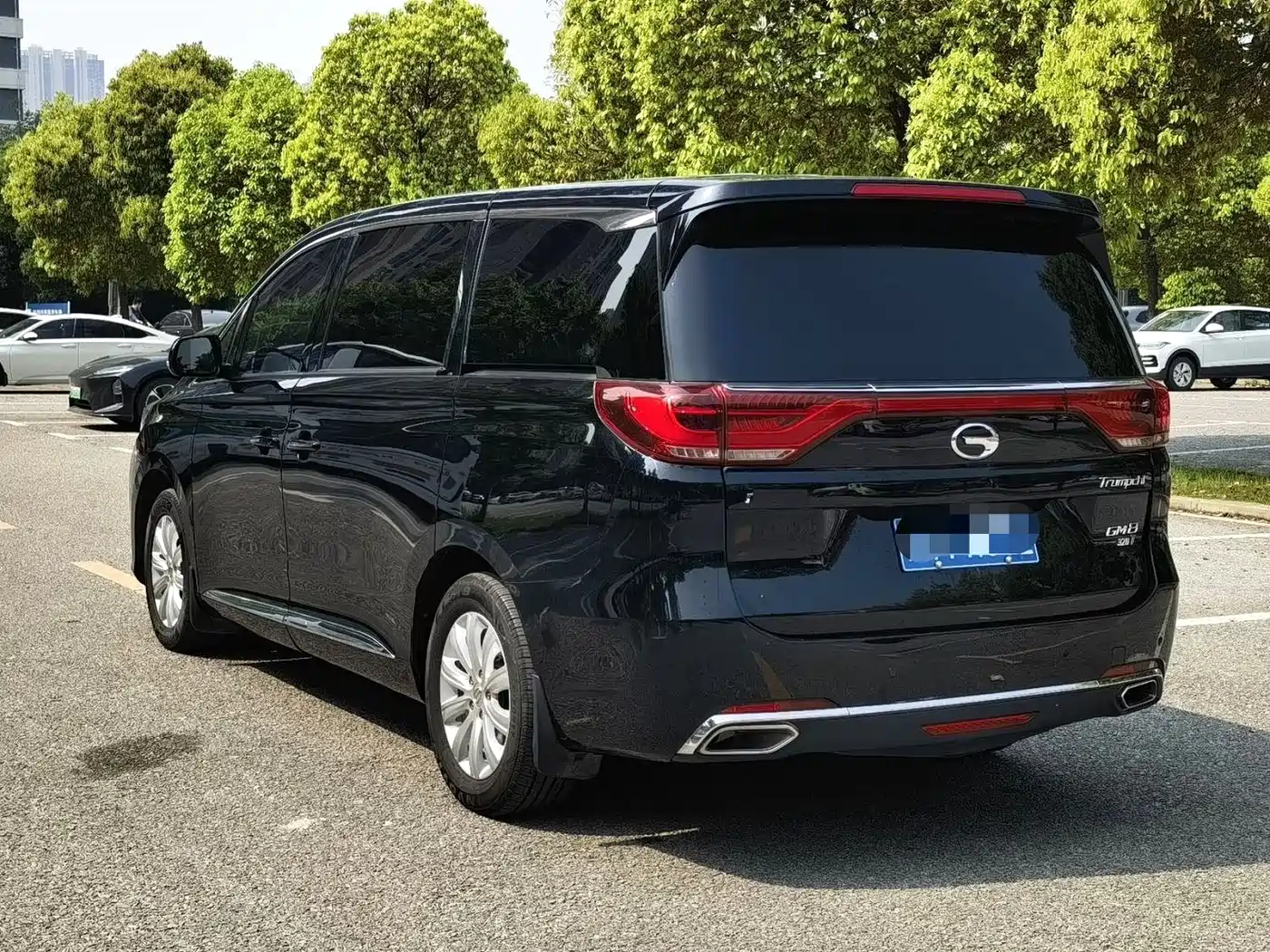 GAC Trumpchi Trumpchi M8 2019 320T Ultimate Edition фото 7