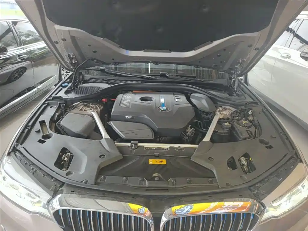 BMW 5 Series New Energy 2019 530Le Luxury Package фото 20