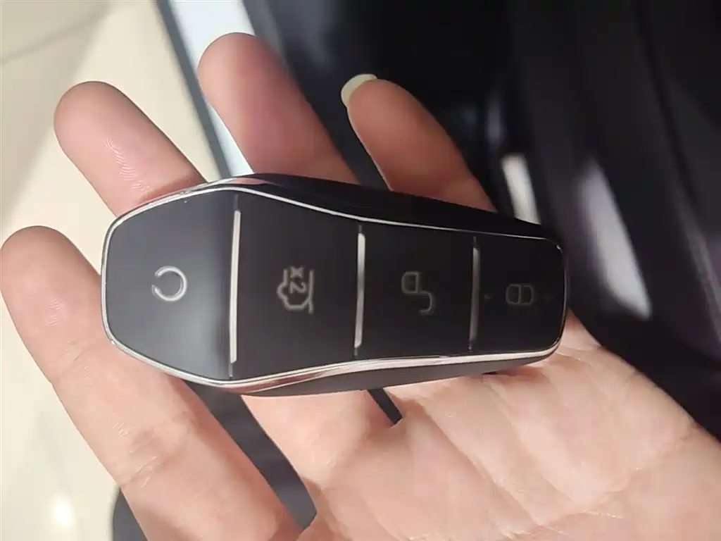 BYD Qin L 2024 DM-i 120KM Leading фото 9
