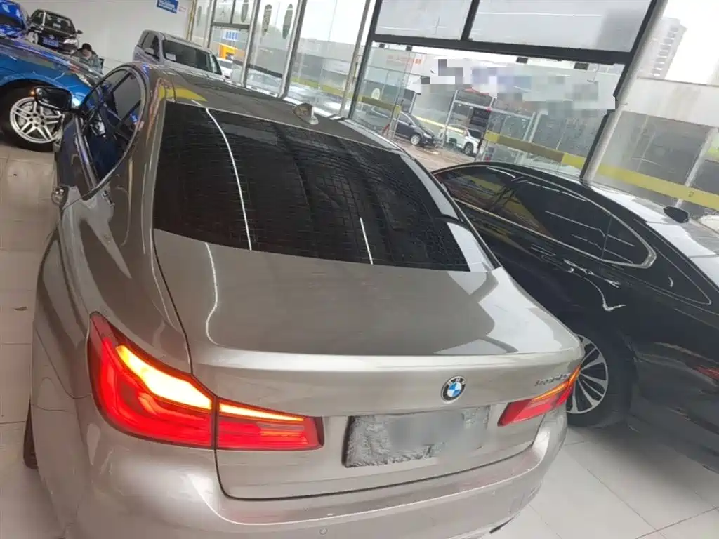 BMW 5 Series New Energy 2019 530Le Luxury Package фото 6