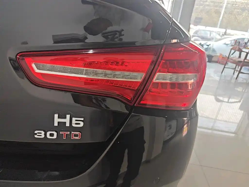 Hongqi H5 2019 30TD Style Edition фото 8