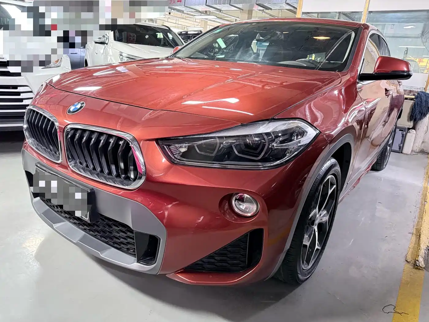 BMW X2 (Import) 2019 sDrive20i M Off-Road Package China VI