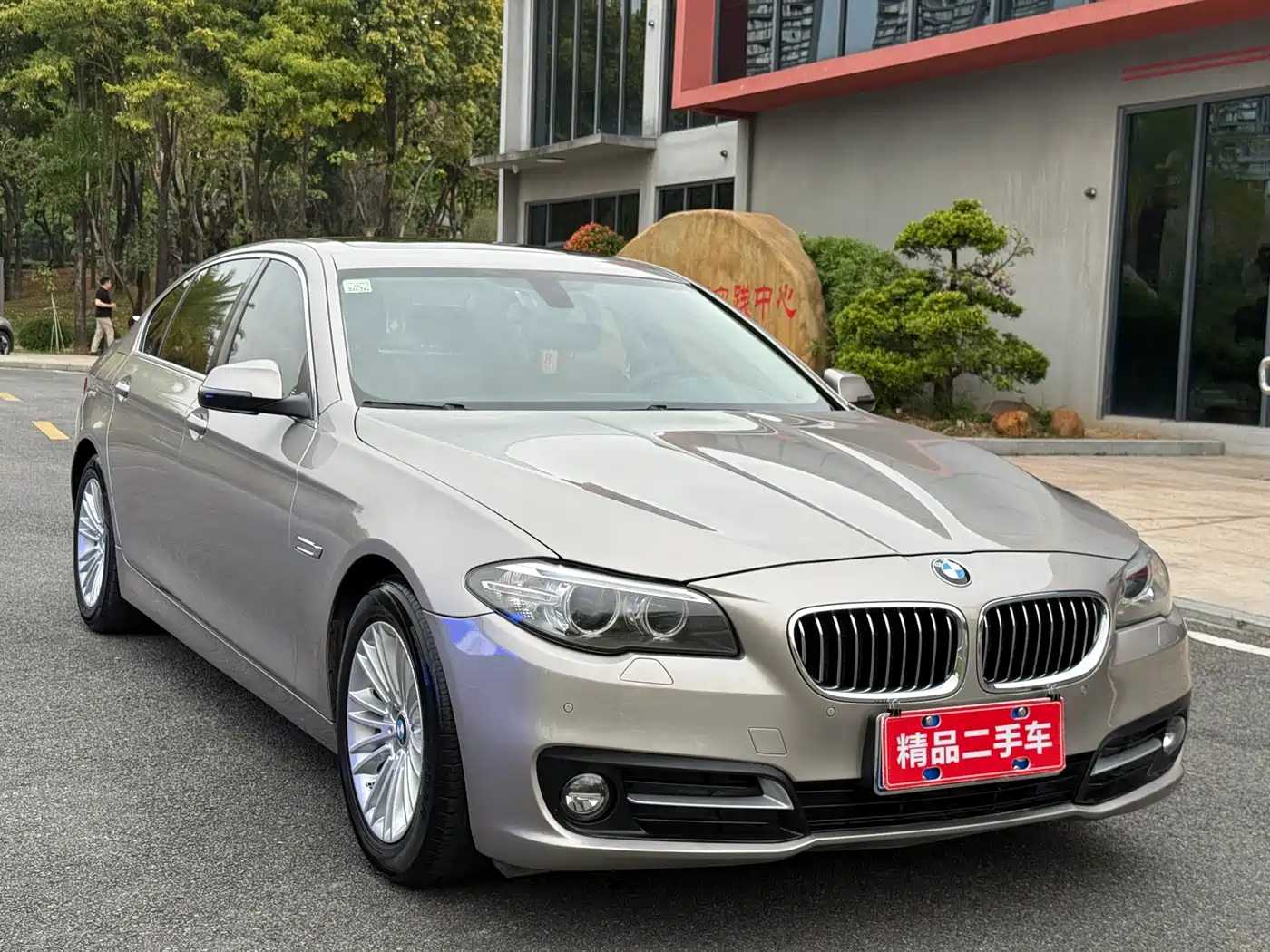 BMW 5 Series 2014 525Li Leading фото 3