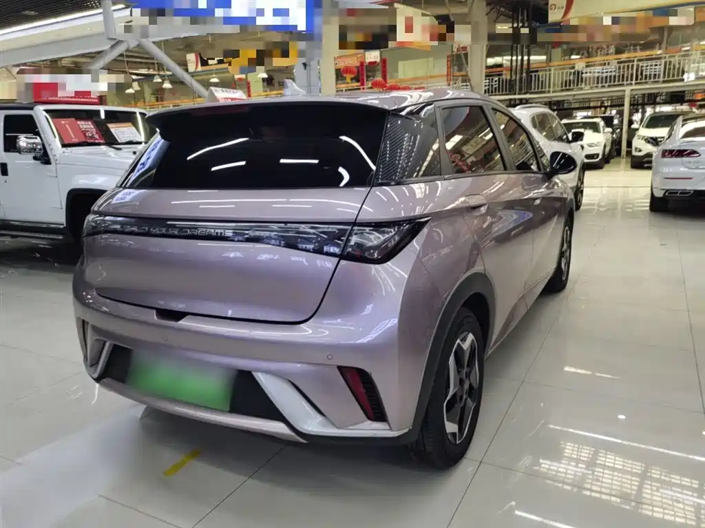 BYD Dolphin 2021 Model 405km Fashion Edition фото 5