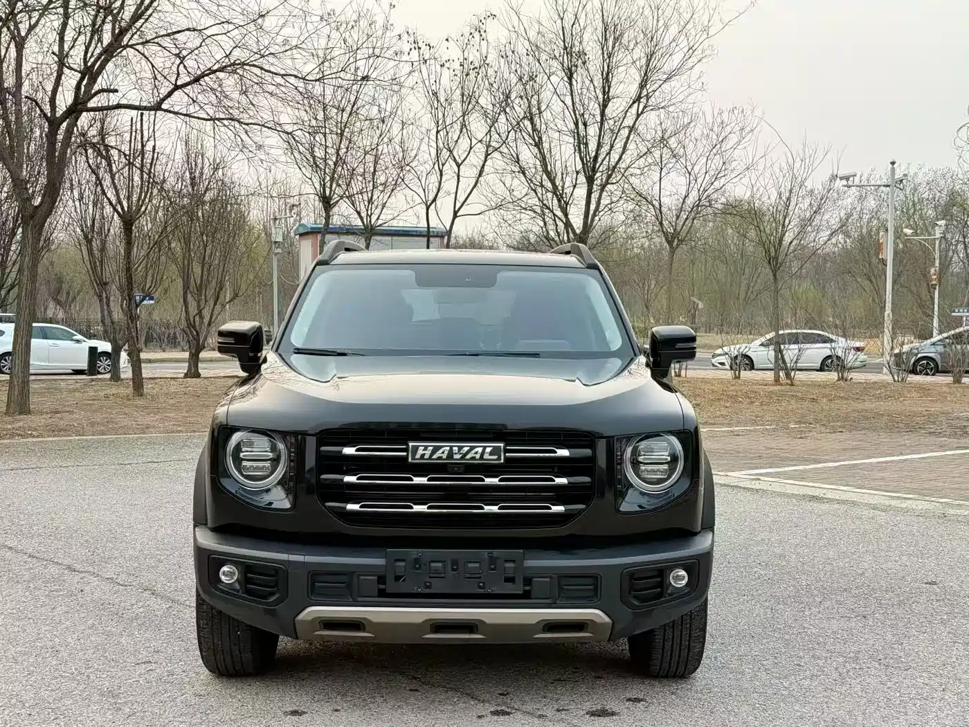 Haval Big Dog 2022 1.5T DCT FWD Labrador Edition фото 2