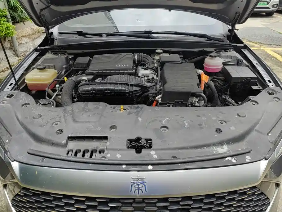 BYD Qin PLUS 2024 Glory Edition DM-i 55KM Leading фото 10
