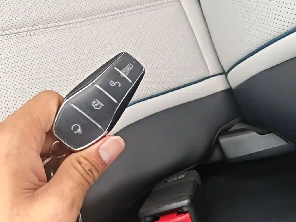 BYD Destroyer 05 2025 2024 Glory Edition DM-i 55KM Luxury