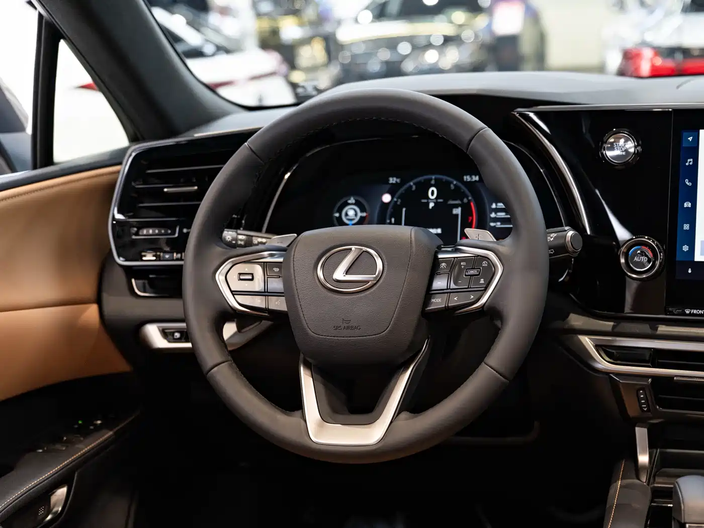 LEXUS RX