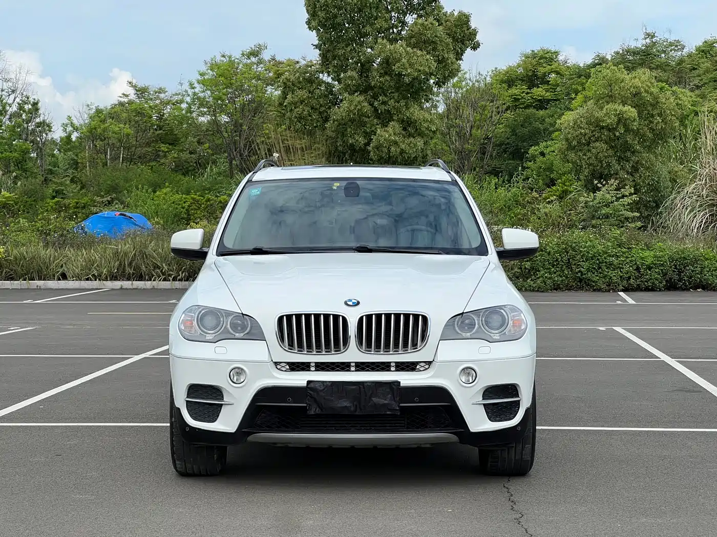 BMW X5 (Import) 2013 xDrive35i Luxury фото 2