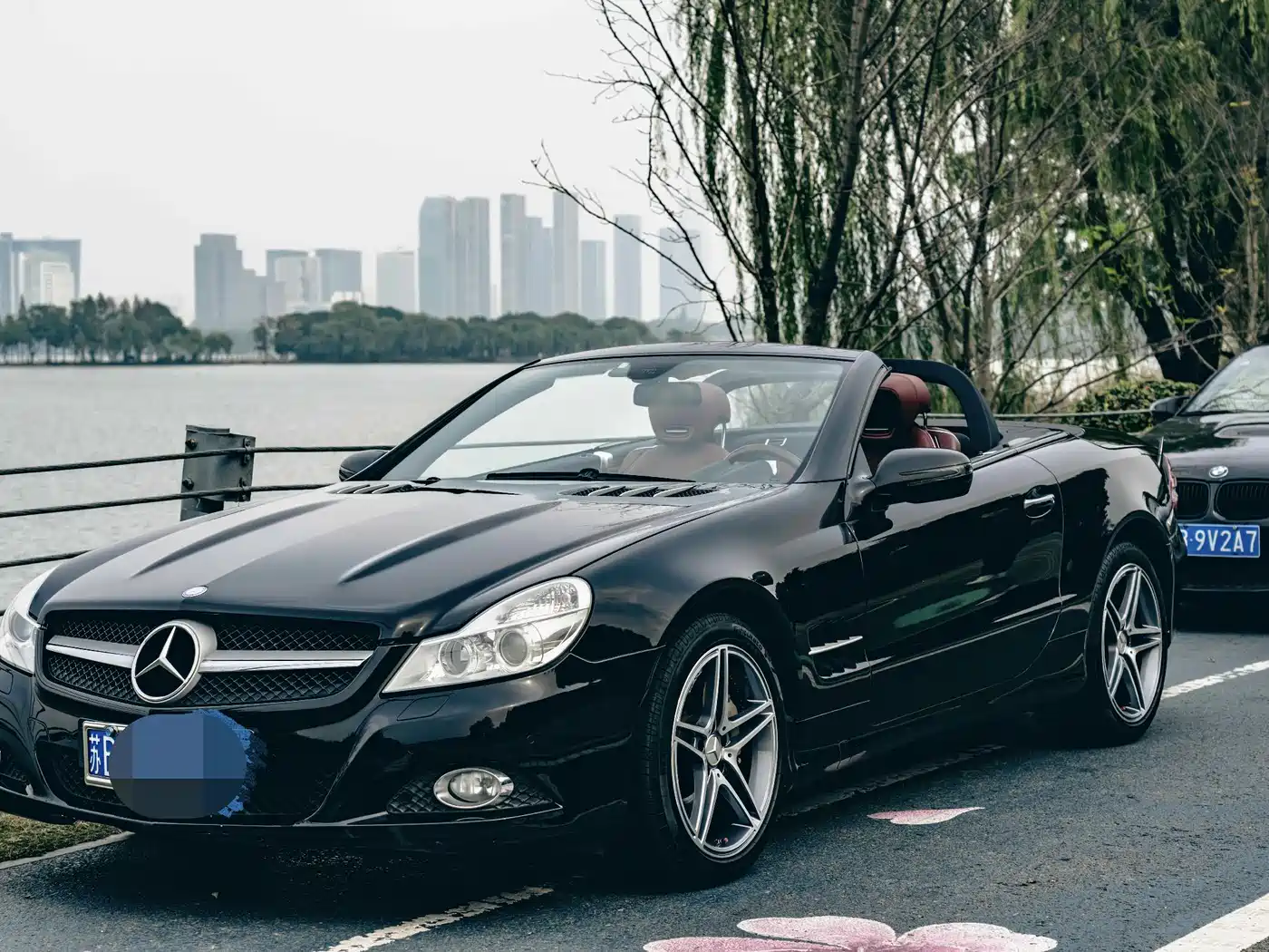 Mercedes-Benz SL-Class 2010 SL 500