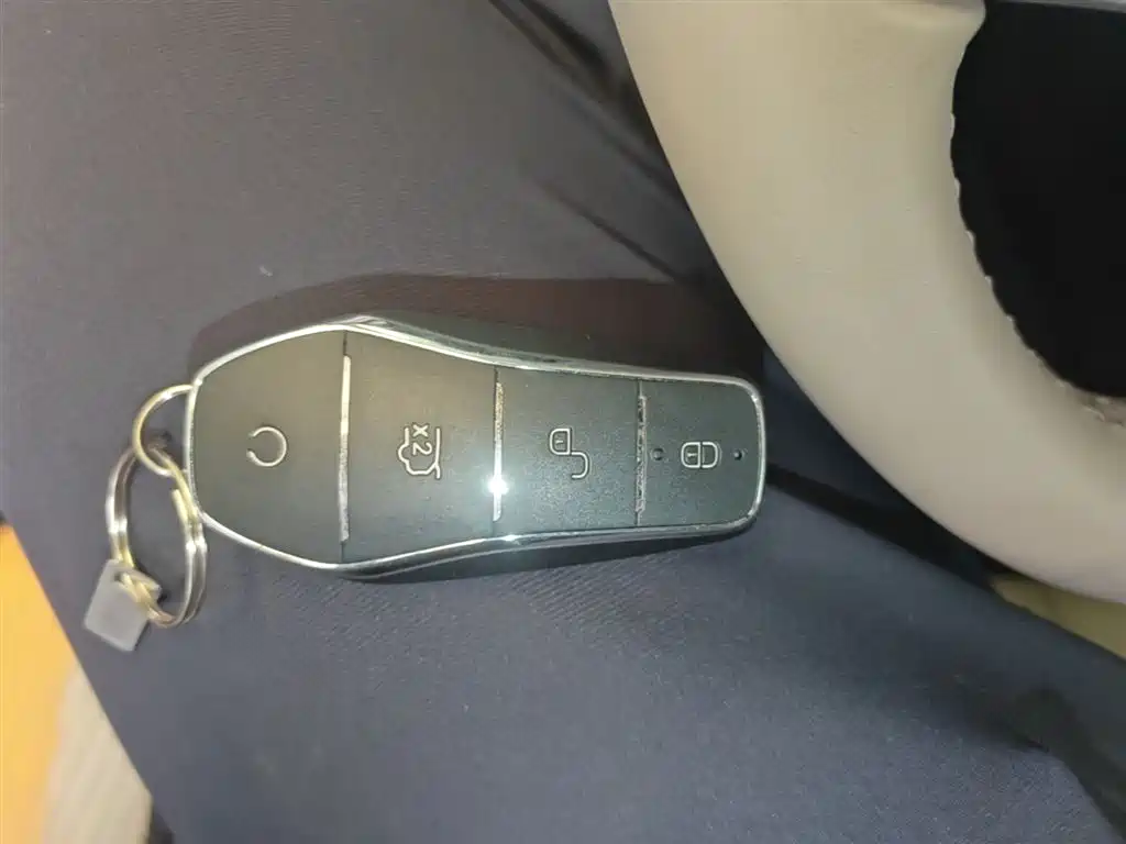 BYD Tang New Energy 2025 Smart Driving Edition DM-i 115KM Flagship фото 9
