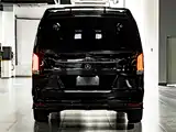 Фото 5 - Mansory V-Class