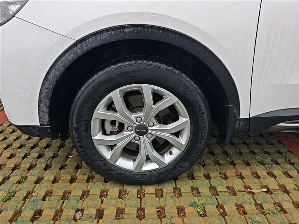 Haval H6 2019 1.5GDIT Automatic Champion Edition China V фото 23