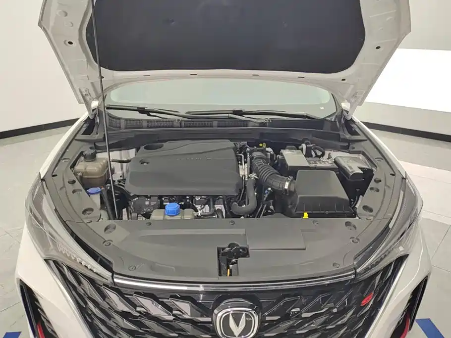Photo 10 - Changan Eado