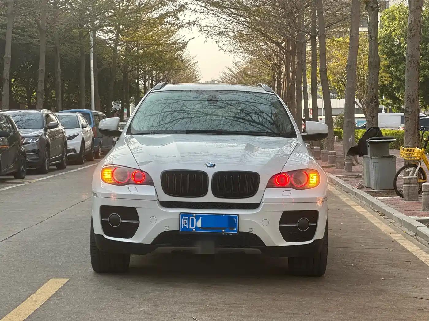 BMW X6 2011 xDrive35i фото 3