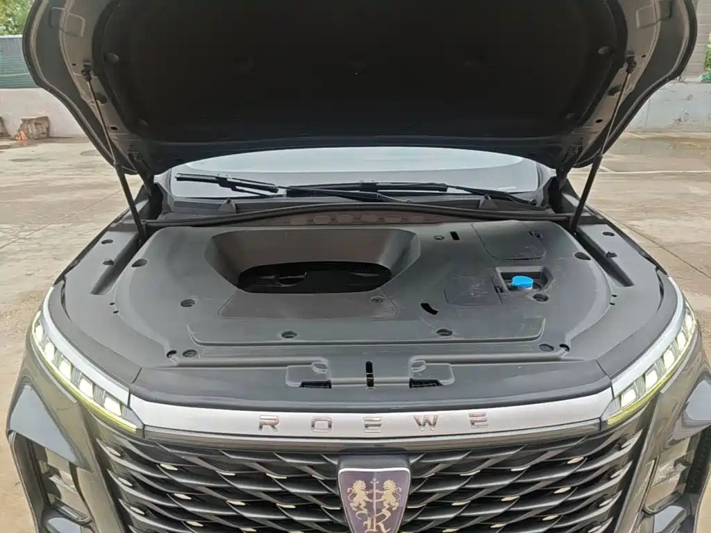 Roewe RX5 MAX 2022 2022 1.5T Auto Promising Premium Edition