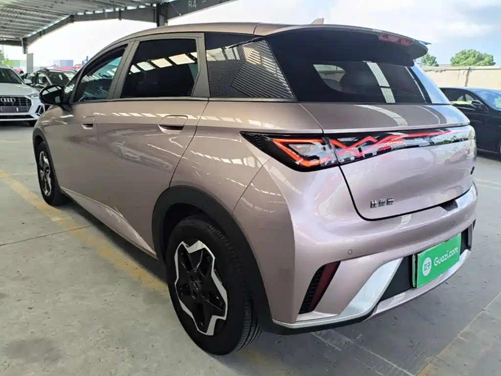 Фото 5 - BYD Dolphin
