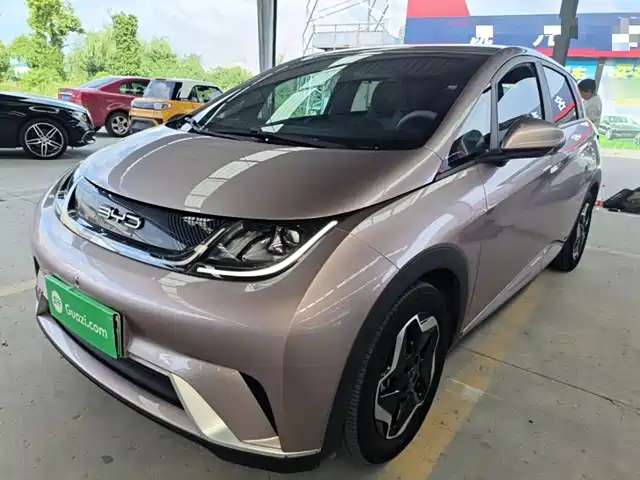 BYD Dolphin 405km, Свобода