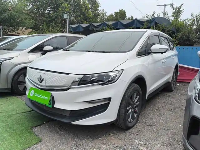  Ruilan Auto Maple 80v 2021 Easy-Ride Version (LFP)